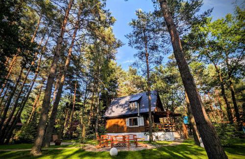 Szumiąca Sosna - Jacuzzi, Ognisko, Sauna, BBQ - Foto 3