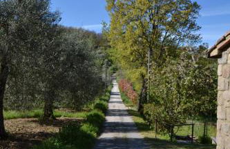 Giardino di Potentino - Foto 22