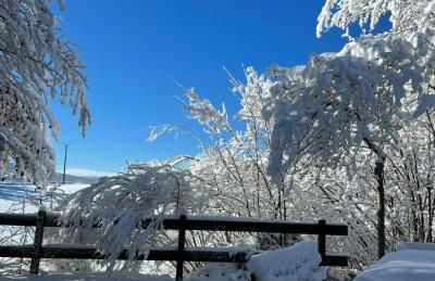Chalet cosy entre lacs et montagnes - Foto 18