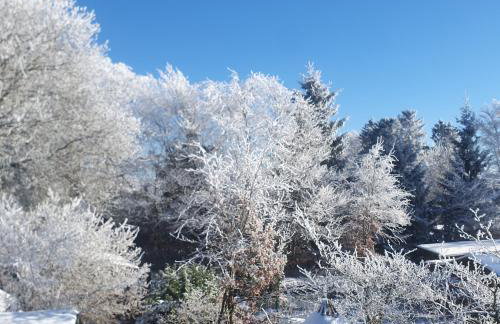 Ferienwohnung Zum Moor - Foto 36