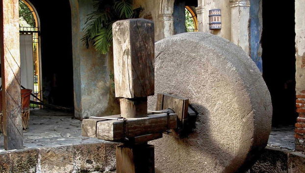 Descubriendo la historia del tequila