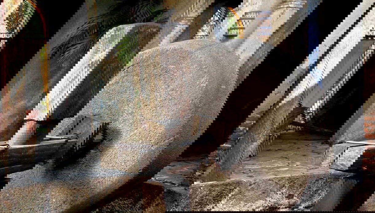 Discovering the history of tequila