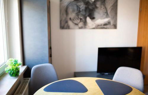 Große & voll ausgestattete Apartments, Studios, Doppelzimmer, Workspace, Parkplatz, Netflix, Prime & schnelles Wifi in ruhiger Lage mit Garten - Foto 63