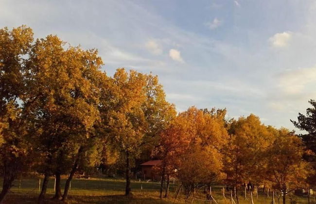 Eco Urbión - Foto 35