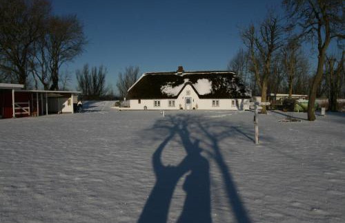 Reetdachhaus, Sauna, E-Bikes, 6 Personen - Foto 57