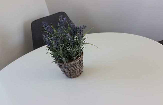 Brams Bach - Photo 24