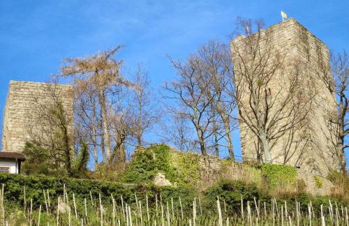 Stilvolle FeWo *Rebland* Balkon-Netflix-Parking - Foto 41