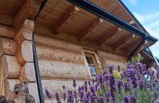 Chata Gilowicka - Beskid Żywiecki - Foto 30