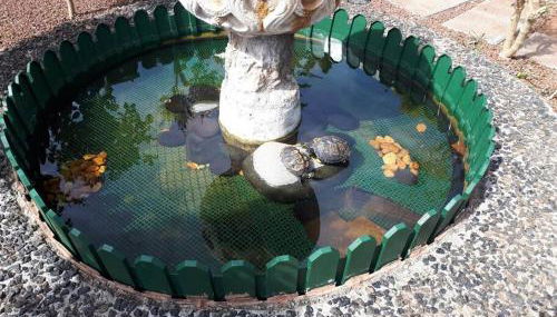 Apartamento tranquilo en una casa con jardín - Foto 2