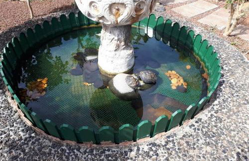 Apartamento tranquilo en una casa con jardín - Foto 2