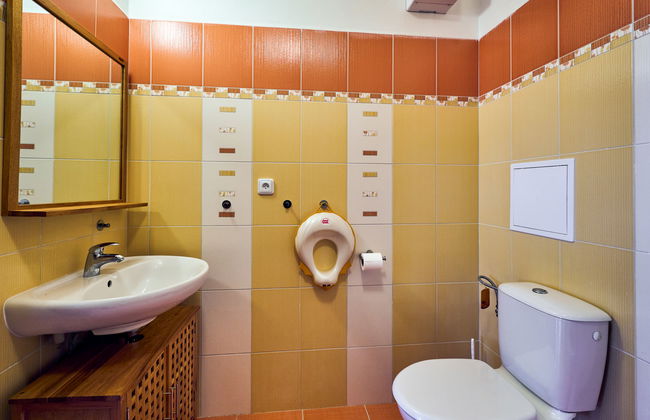 1 bedroom Apartment in Rokytnice nad Jizerou - Photo 9