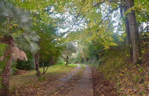 Il Giardino Secreto - Foto 28