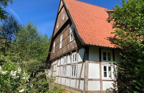 In der Wassermühle - Foto 1