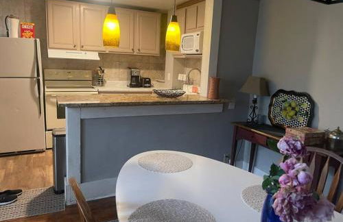 19 century Victorian Home - Foto 27