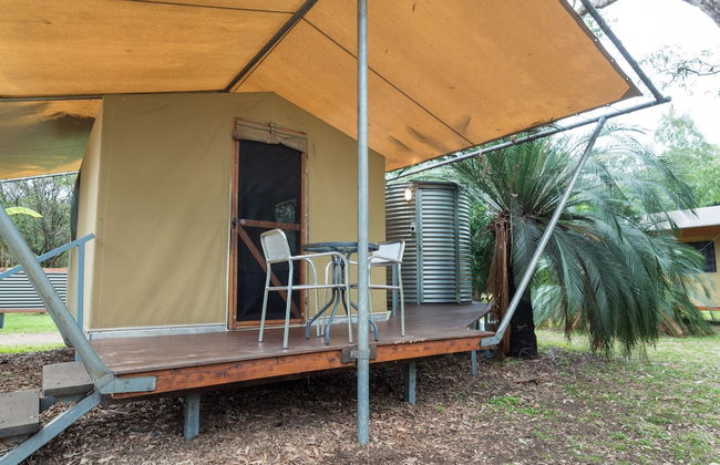 BIG4 Carnarvon Gorge Holiday Park - Foto 7