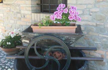 B&B Il Cascinale - Foto 11