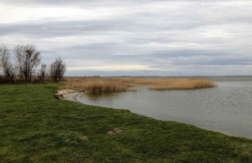Ferienhaus am Saaler Bodden - Foto 21
