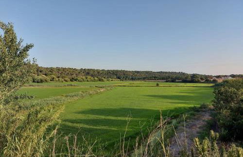 A Casa do Arez - Foto 22
