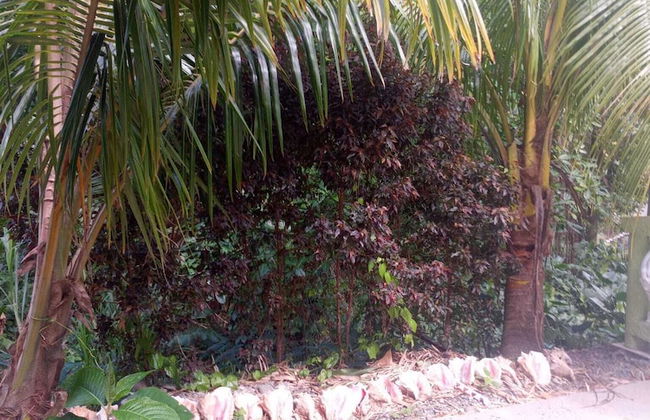 Binks appartments - Photo 17