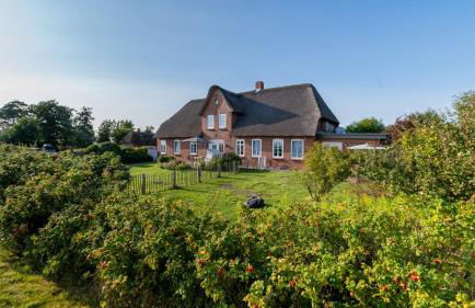 Ferienhof Schnurrum - Foto 1