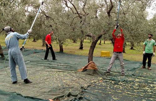 Villa Porto Matzavino - Foto 52