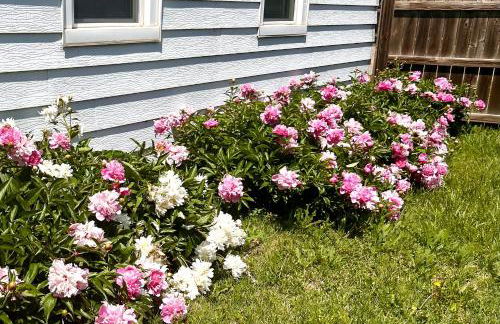 Sunflower House - Foto 3