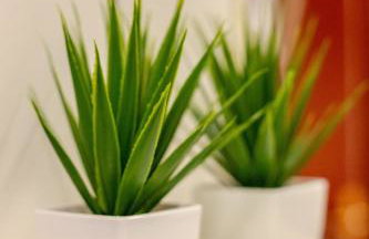 Misho apartment with terrace - Foto 12