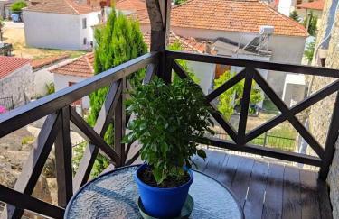 Κούκος ΕυΖην - Foto 48