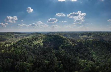 Ferienwohnung Altschloss - Foto 47