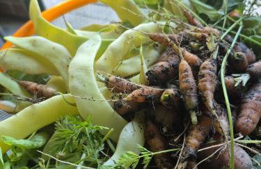 Bliss Garden Retreat House ZielonoMi - Foto 64