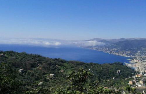 Stella Marina House -citra 010047LT-0127 - Foto 24