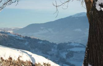 Tschott Hof - Foto 35