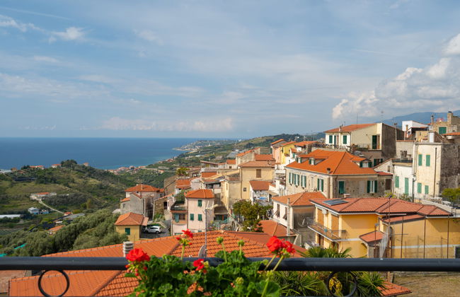 Toni (TZR240) - Foto 18