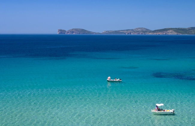 Actinia Accomodation - Photo 54