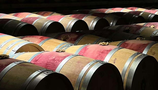 Tour in Bordeaux - Foto 4