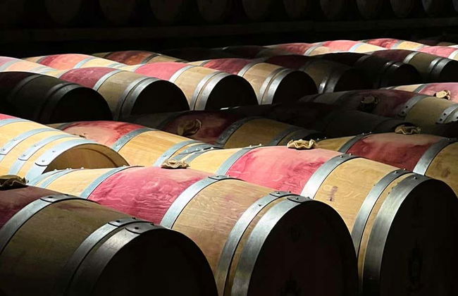 Tour in Bordeaux - Foto 4