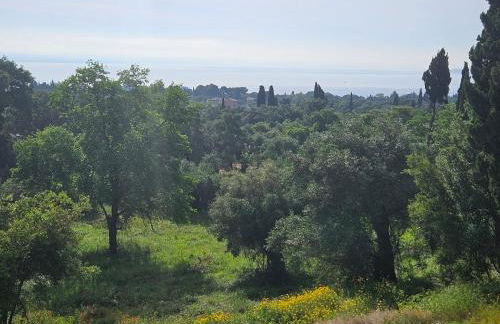 Sylvia's Sweet Home - Foto 38