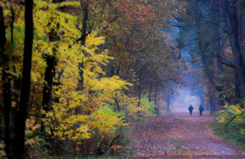 Ferienwohnung Gilg - Foto 26