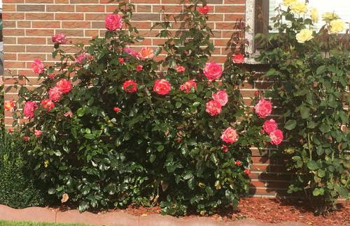 Haus Sabine - Foto 2