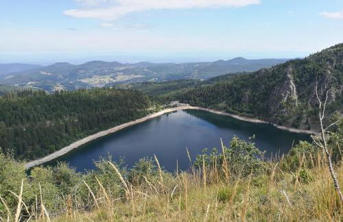 Un séjour ressourçant en Alsace entre vignes et montagnes l'Escapade Barochaise à 20mn de Colmar - Foto 22