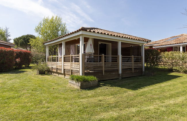 Domaine de Sévenier Micocoulier - Foto 8