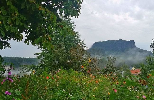 Holiday Home in Saxony With Garden - Foto 15