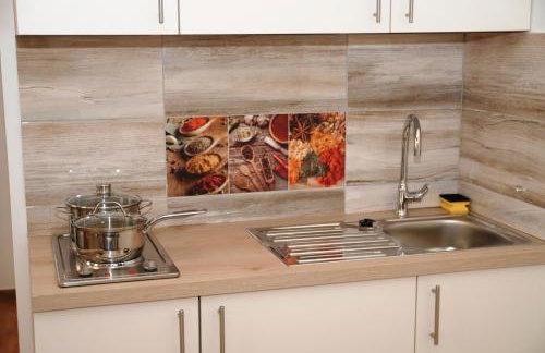 Studio apartmani Toplička bajka - Foto 34