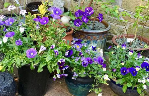 Rivelin - vintage vibe with modern conveniences - Sheffield & Peak District! - Foto 21