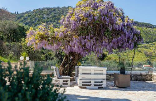 Alisachni Apartments Ground Floor - Photo 45