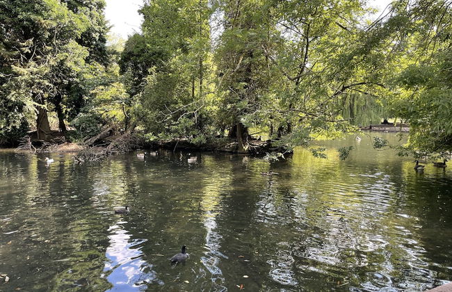 Immaculate 1-bed Apartment in Orpington - Foto 13