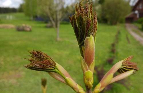 Agroturystyka Pod Dębem - Foto 45