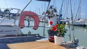Sailboat land and sea, vegetated - Foto 5