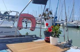 Sailboat land and sea, vegetated - Foto 5