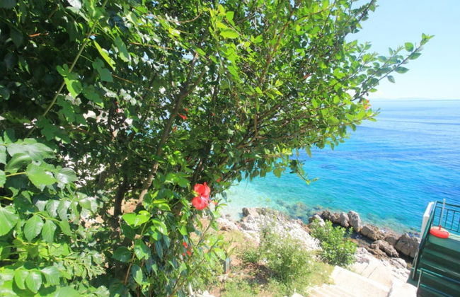 Alexandra Studio in Katavolos - Foto 15